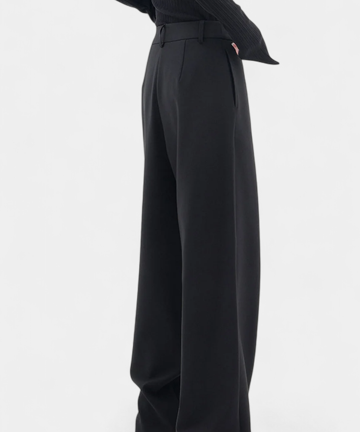 Oaklyn Trousers Rectos with Drapado Modern